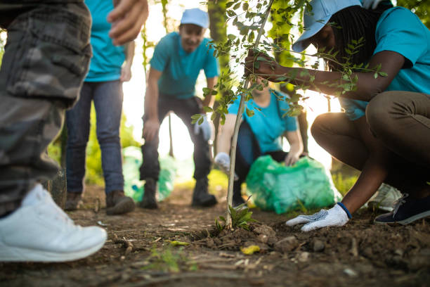 trabalhos voluntarios